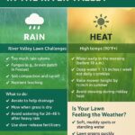 How Rain and Heat Impact Lawn Growth in the River Valley