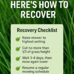Overdue Lawn? Here’s How to Recover in Van Buren, AR