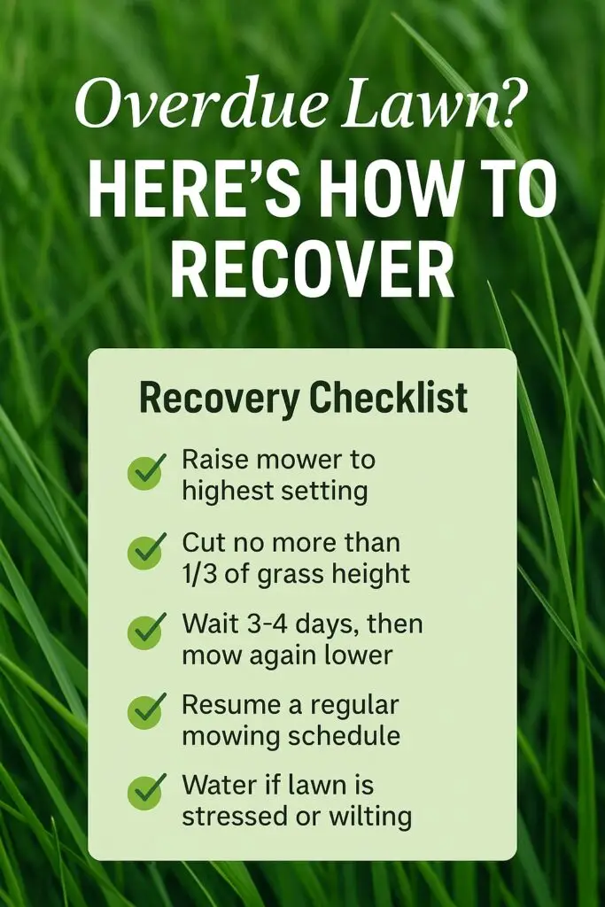 Overdue Lawn? Here’s How to Recover in Van Buren, AR