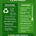 Should You Bag or Mulch Your Grass Clippings?