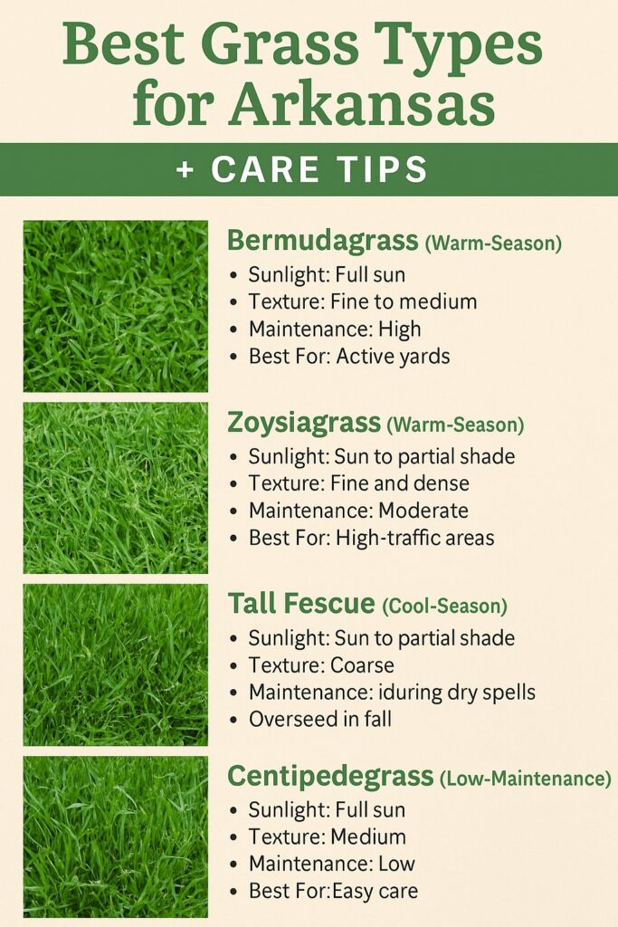 The Best Grass Types for Arkansas Lawns (And How to Care for Them)