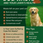 The Truth About Dog Waste and Your Lawn’s Health in Van Buren, AR